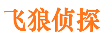 扶余市出轨取证